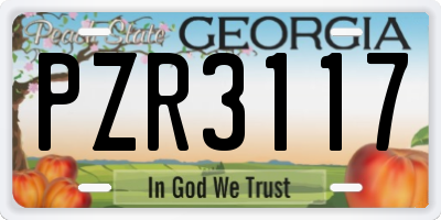 GA license plate PZR3117
