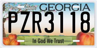 GA license plate PZR3118