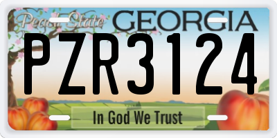 GA license plate PZR3124