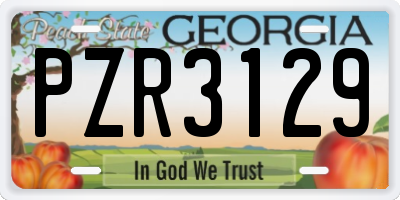 GA license plate PZR3129