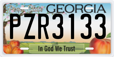 GA license plate PZR3133