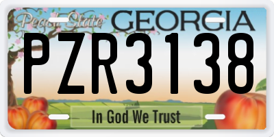GA license plate PZR3138