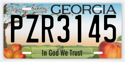 GA license plate PZR3145