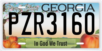 GA license plate PZR3160