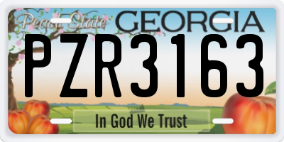 GA license plate PZR3163