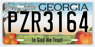 GA license plate PZR3164