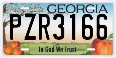 GA license plate PZR3166