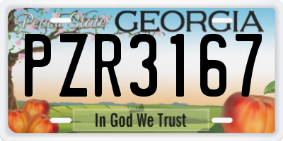 GA license plate PZR3167