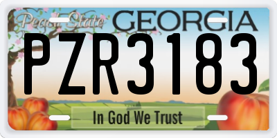 GA license plate PZR3183