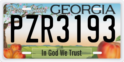 GA license plate PZR3193