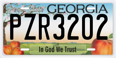 GA license plate PZR3202