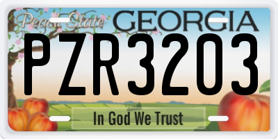 GA license plate PZR3203