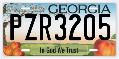GA license plate PZR3205