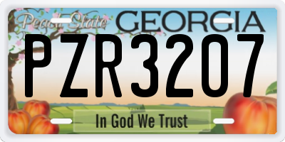 GA license plate PZR3207