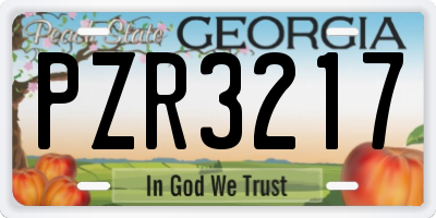 GA license plate PZR3217