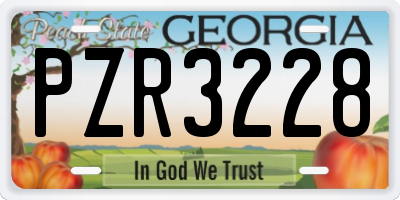 GA license plate PZR3228