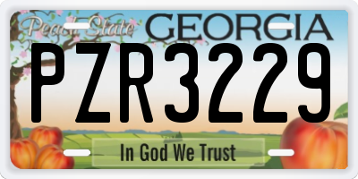 GA license plate PZR3229