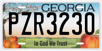 GA license plate PZR3230