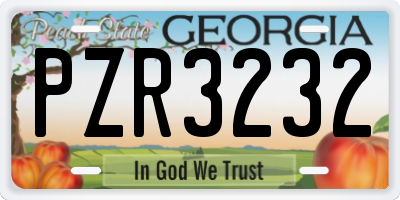 GA license plate PZR3232