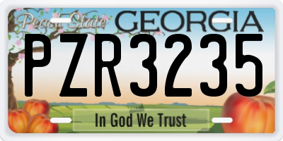 GA license plate PZR3235