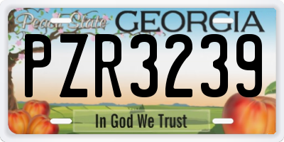 GA license plate PZR3239