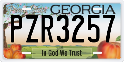 GA license plate PZR3257