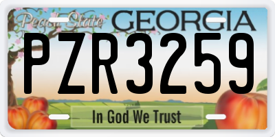 GA license plate PZR3259