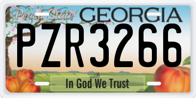GA license plate PZR3266