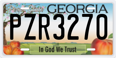 GA license plate PZR3270