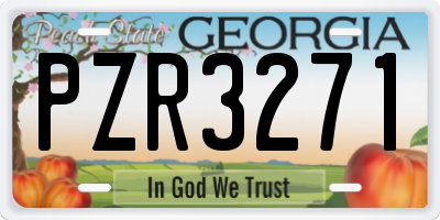 GA license plate PZR3271