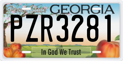 GA license plate PZR3281