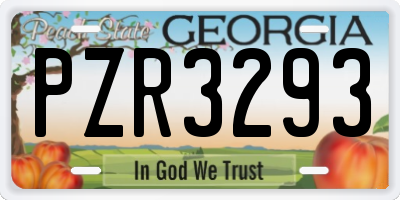 GA license plate PZR3293