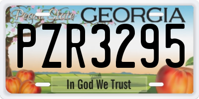 GA license plate PZR3295
