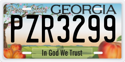 GA license plate PZR3299
