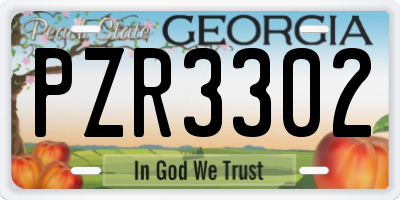 GA license plate PZR3302