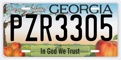 GA license plate PZR3305