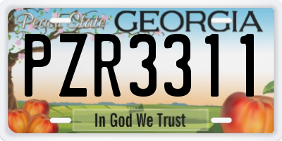 GA license plate PZR3311