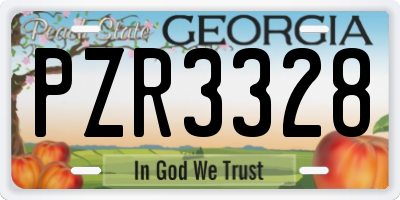 GA license plate PZR3328