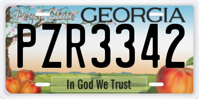 GA license plate PZR3342