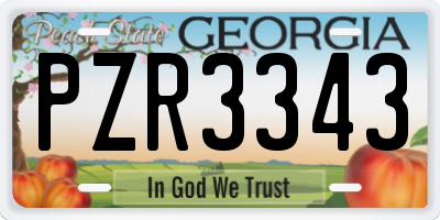 GA license plate PZR3343