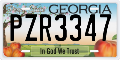 GA license plate PZR3347