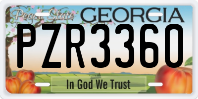 GA license plate PZR3360