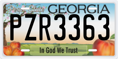 GA license plate PZR3363