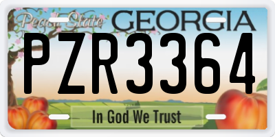 GA license plate PZR3364