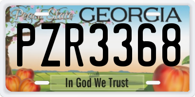 GA license plate PZR3368