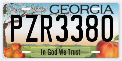 GA license plate PZR3380