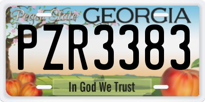 GA license plate PZR3383