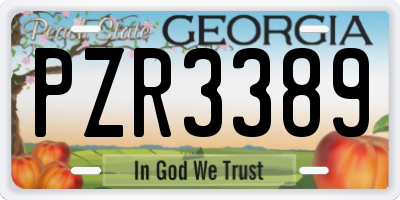 GA license plate PZR3389