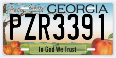 GA license plate PZR3391