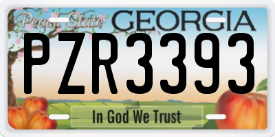 GA license plate PZR3393